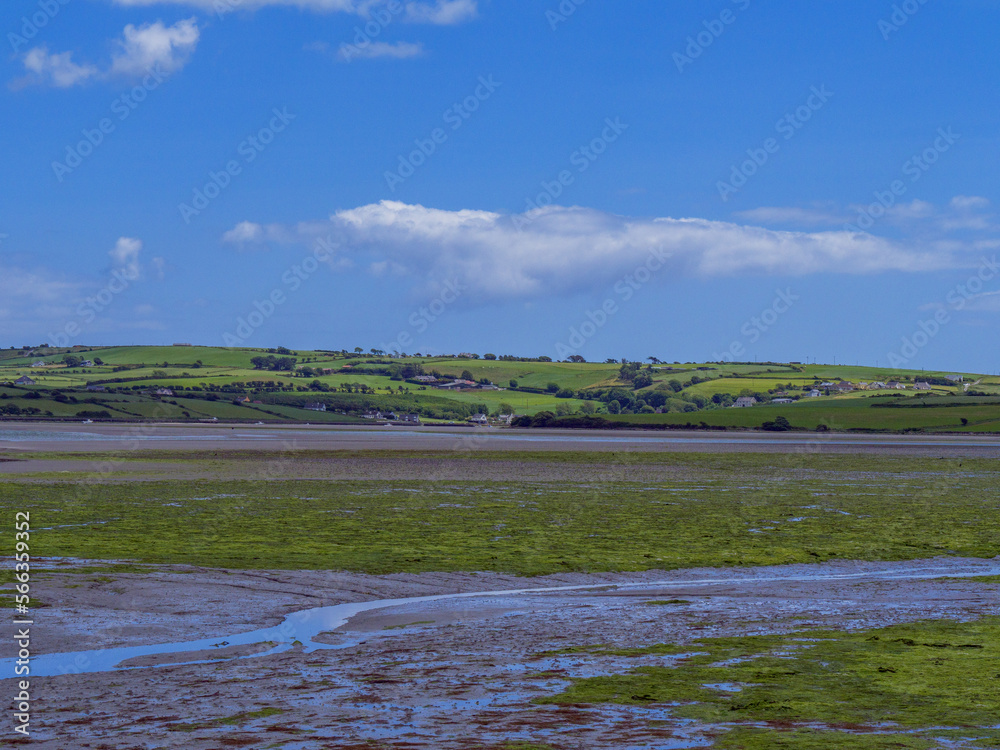 Open seabed after low tide, swampy area. Green hilly landscape on a sunny summer day. White cumulus clouds in a blue sky. Irish landscape. The coast of Clonakilty Bay.