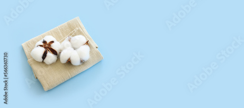 Creative image of beautiful cotton flowers over blue background.