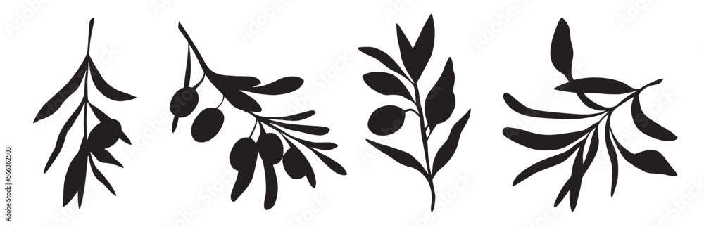 Olive branches with long leaves vector collection. Set of black silhouettes leaves and tree branches. Hand drawn Vector ink elements isolated on white background. Olive branches with long leaves vector collection. Set of black silhouettes leaves and tree branches. Hand drawn Vector ink elements isolated on white background.