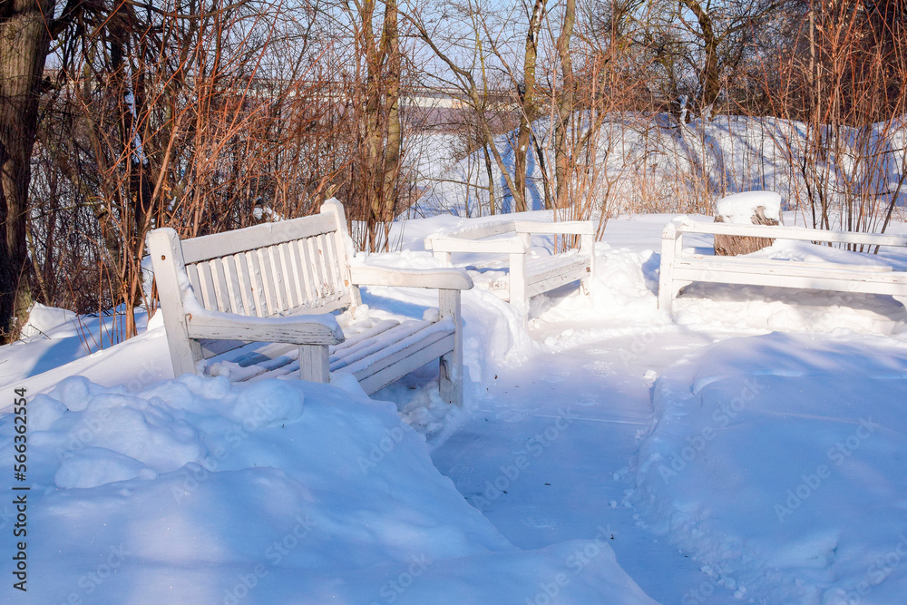 white benches in the park on a sunny day white benches in the park on a sunny day