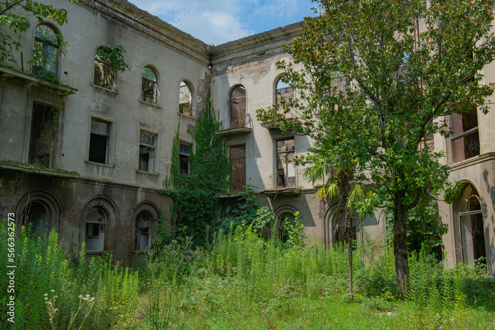 Ruins of a planted building in Georgia