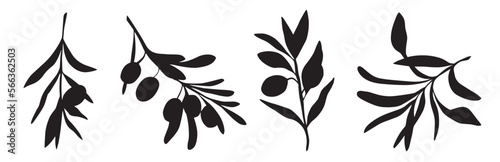 Olive branches with long leaves vector collection. Set of black silhouettes leaves and tree branches. Hand drawn Vector ink elements isolated on white background.