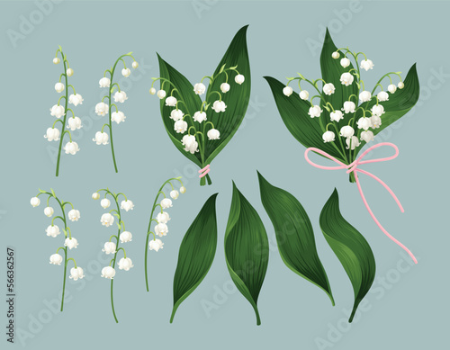 Set with lily of the valley flowers and herbs