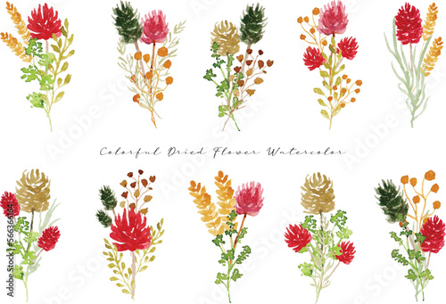 a set of aesthetic dried flower arrangement watercolor