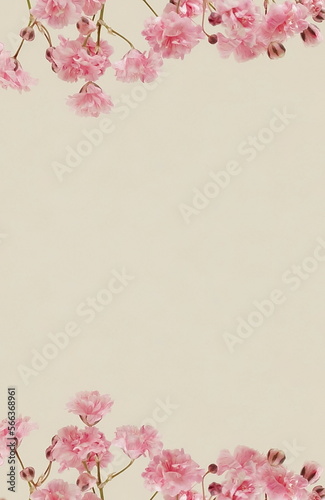 Flowers background banner.Pink gypsophila flowers or baby's breath flowers close up on beige background selective focus . Copy space. Poster.