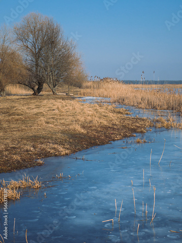 frozen lake winter landscape near the lake covered with ice. frosty weather on a walk by the river in winter.