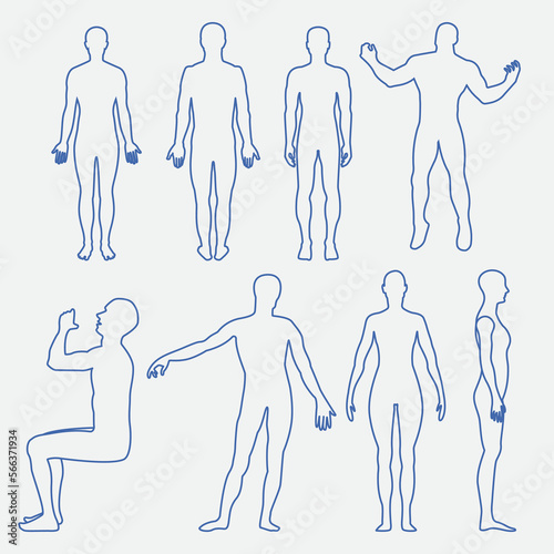 Human figures in line - human posture, body structure, health diagrams - vector  