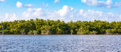 Mangroven im Nationalpark Punta Sur ein auf der Halbinsel Cozumel. Bootsfahrt auf einem See im Naturschutzgebiet, ein Panorama.
