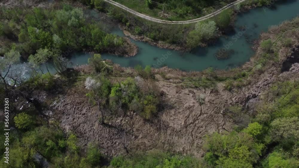 river in the forest