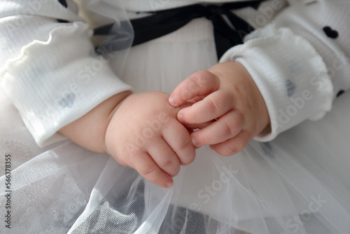 Small children s hands. Baby hands of a little girl in a white dress. Chubby baby hands. Sweet baby fingers. The child holds his hands together