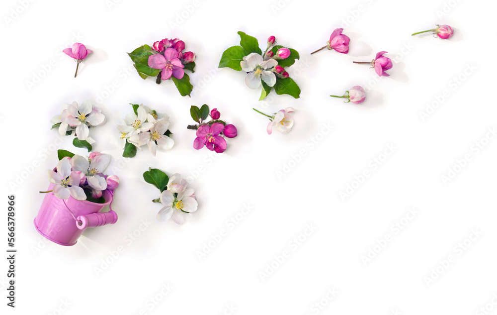 White pink flowers apple tree in small pink bucket on a white background with space for text. Spring decoration.Top view, flat lay White pink flowers apple tree in small pink bucket on a white background with space for text. Spring decoration.Top view, flat lay