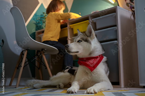 Child and pet dog together in the children's room
