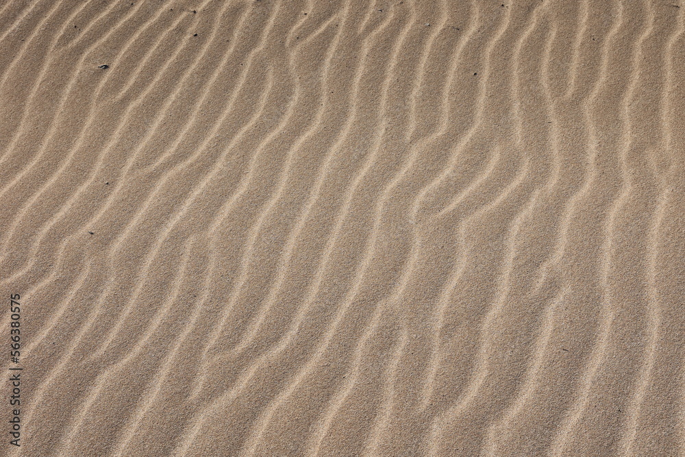 sand waves sand waves