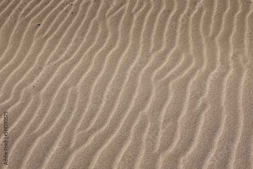 sand waves