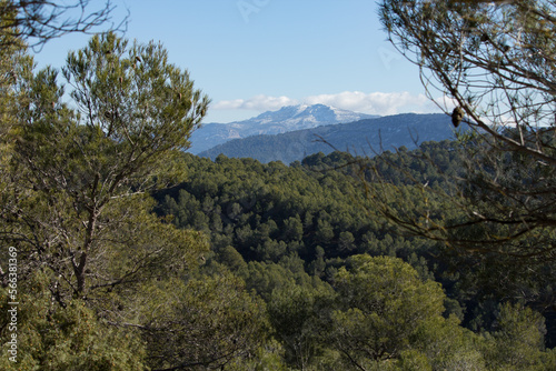 Paisaje en capas desde la Sierra de Mariola, la Serreta y Aitana nevada, Comunidad Valenciana photo