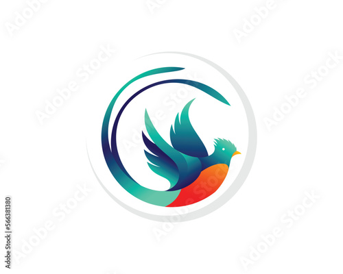 abstract quetzal bird