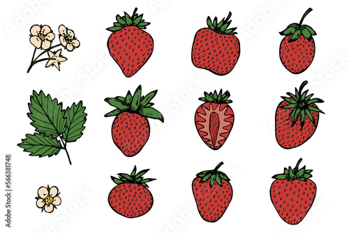 Vector set of strawberry clipart. Hand drawn berry icon. Fruit illustration. For print, web, design, decor, logo.