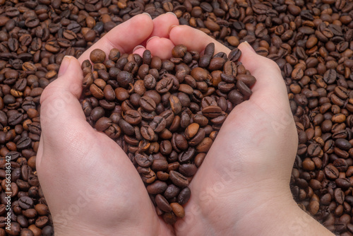 A handful of coffee beans close-up on the background of roasted coffee beans. Coffee shop concept