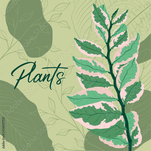 Colored foliage background with different leaves Vector illustration