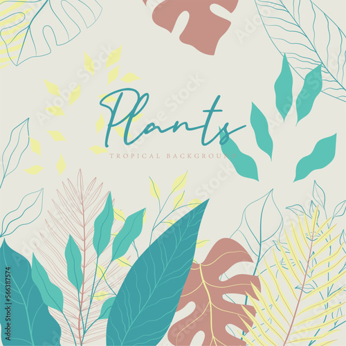 Colored foliage background with different leaves Vector illustration