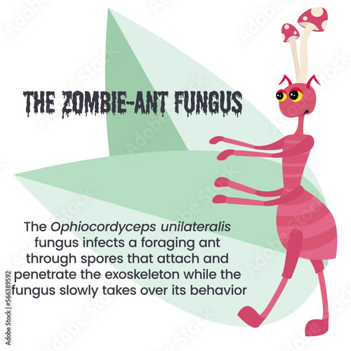 Ophiocordyceps unilateralis the zombie ant fungus vector illustration