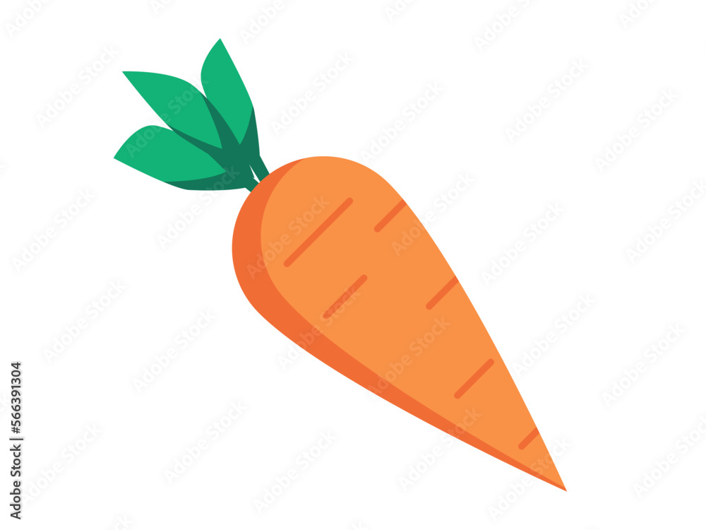 Raw carrot illustration with green leaf. Ready to eat vegetable isolated on a white background. Vector. Raw carrot illustration with green leaf. Ready to eat vegetable isolated on a white background. Vector.