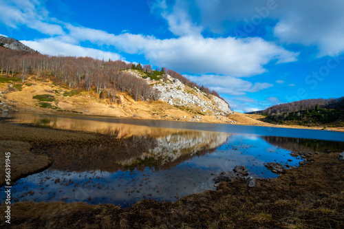 lake in the fall