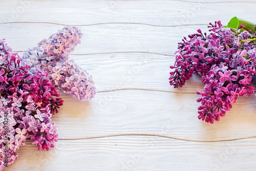 Spring floral lilac background on white wooden texture. Copy space.