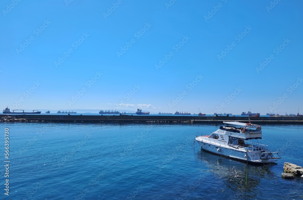 boats in the harbor