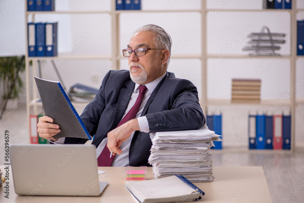 Old male boss working in the office Old male boss working in the office