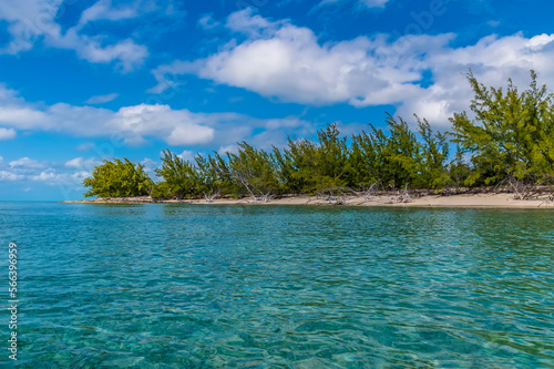 A view from the sea along a deserted bay on the island of Eleuthera  Bahamas on a bright sunny day