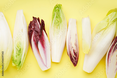 Bunches of different fresh endive on yellow background