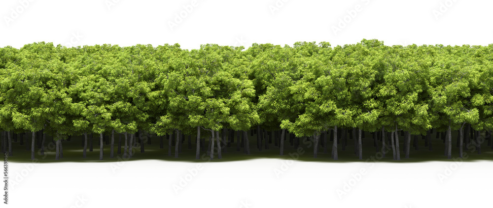 Obraz premium forest line with shadows under the trees, isolated on transparent background, 3D illustration, cg render