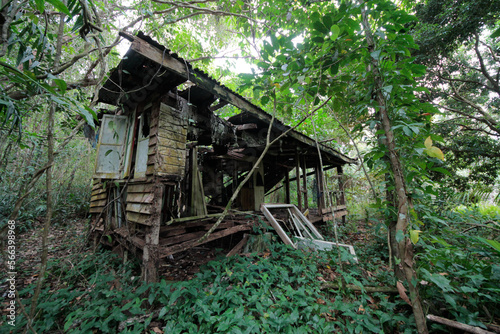 An abandoned house in the tropical rainforest. 