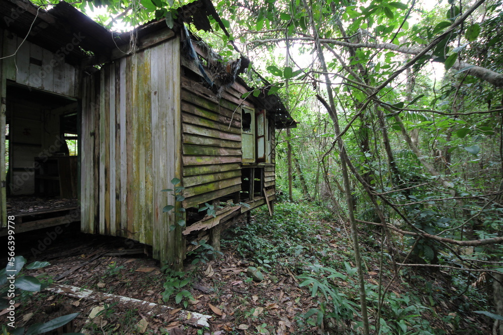 An abandoned house in the tropical rainforest. An abandoned house in the tropical rainforest.