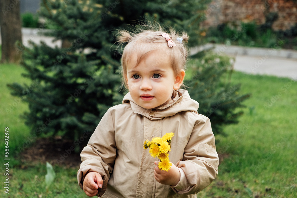 Little toddler baby girl in trench coat picking yellow dandelions in spring garden. Cute baby girl enjoying the simple pleasures of childhood and celebrating the beauty of spring Little toddler baby girl in trench coat picking yellow dandelions in spring garden. Cute baby girl enjoying the simple pleasures of childhood and celebrating the beauty of spring