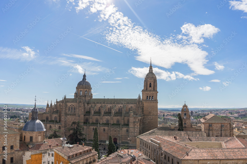 Spectacular views of the cathedral of Salamanca (Spain) on a summer day on vacation.