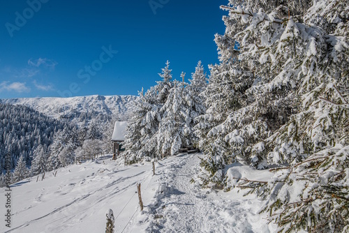 Chemin enneigé dans les Vosges entre le lac du Forlet (lac des Truites) et Gazon du Faing