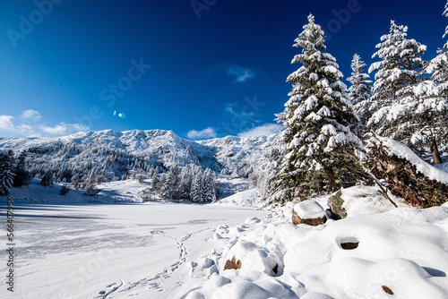 Chemin enneigé dans les Vosges entre le lac du Forlet (lac des Truites) et Gazon du Faing photo