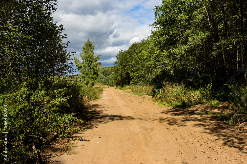Dirt road in a forest area on a summer day Dirt road in a forest area on a summer day