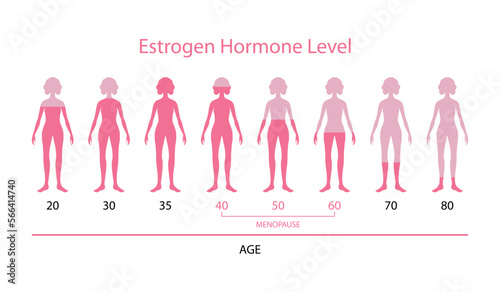 Estrogen hormone level. Menopause.