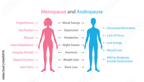 Effects of menopause and andropause in women and men