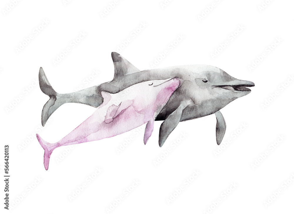 Fototapeta premium Watercolor cute dolphin . Hand painting postcard with dolphin isolated white background. Ocean animals