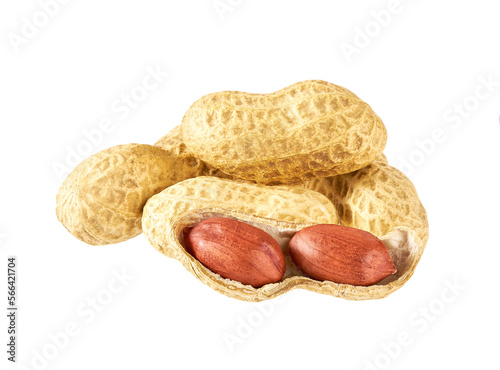 organic peanuts isolated isolated on white background.