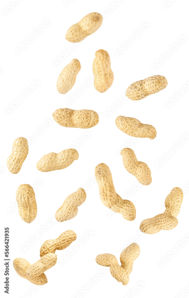 Falling peanut isolated on white background, clipping path. Falling peanut isolated on white background, clipping path.