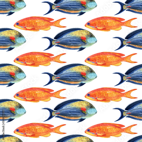 fish pattern watercolor. watercolor cute fish pattern. Watercolor cute animal.  Watercolor cute fish. Hand painting  isolated white background. fish photo