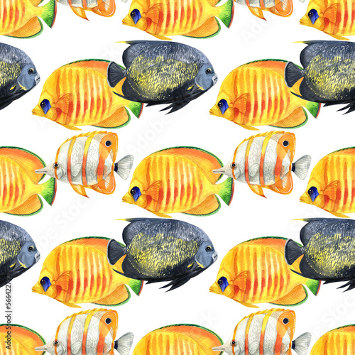 fish pattern watercolor. watercolor cute fish pattern. Watercolor cute animal.  Watercolor cute fish. Hand painting  isolated white background. fish