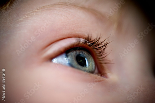 Detail of an eye. photo