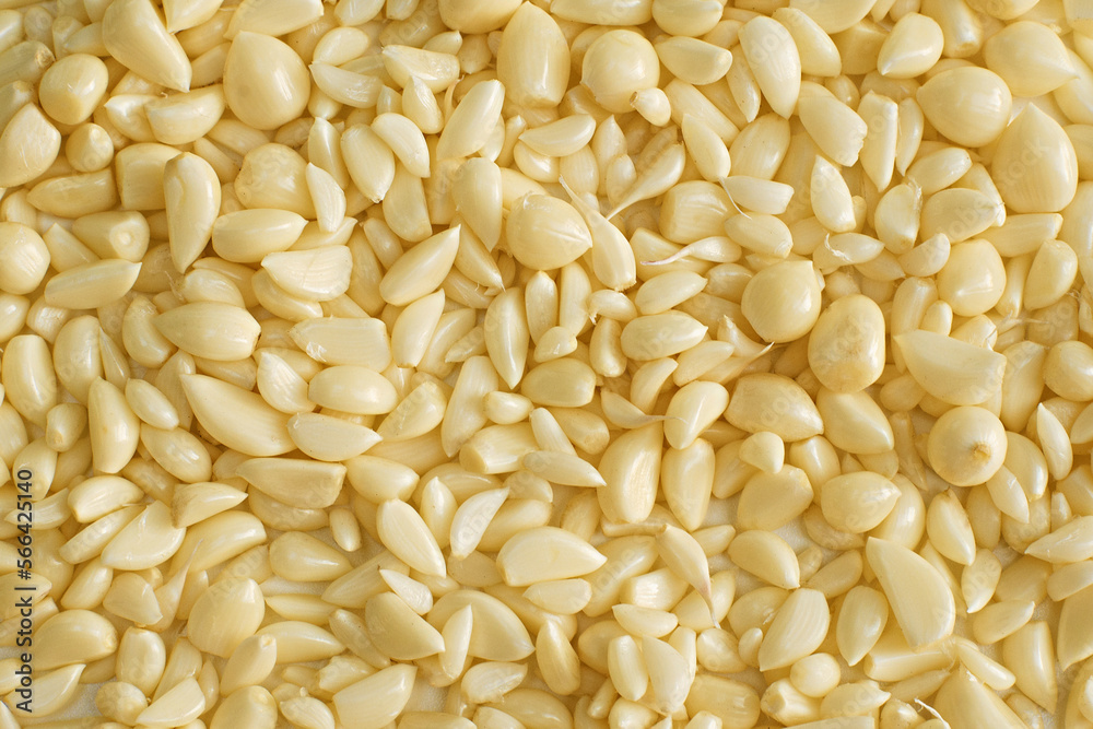 garlic, spice, seasoning garlic, spice, seasoning