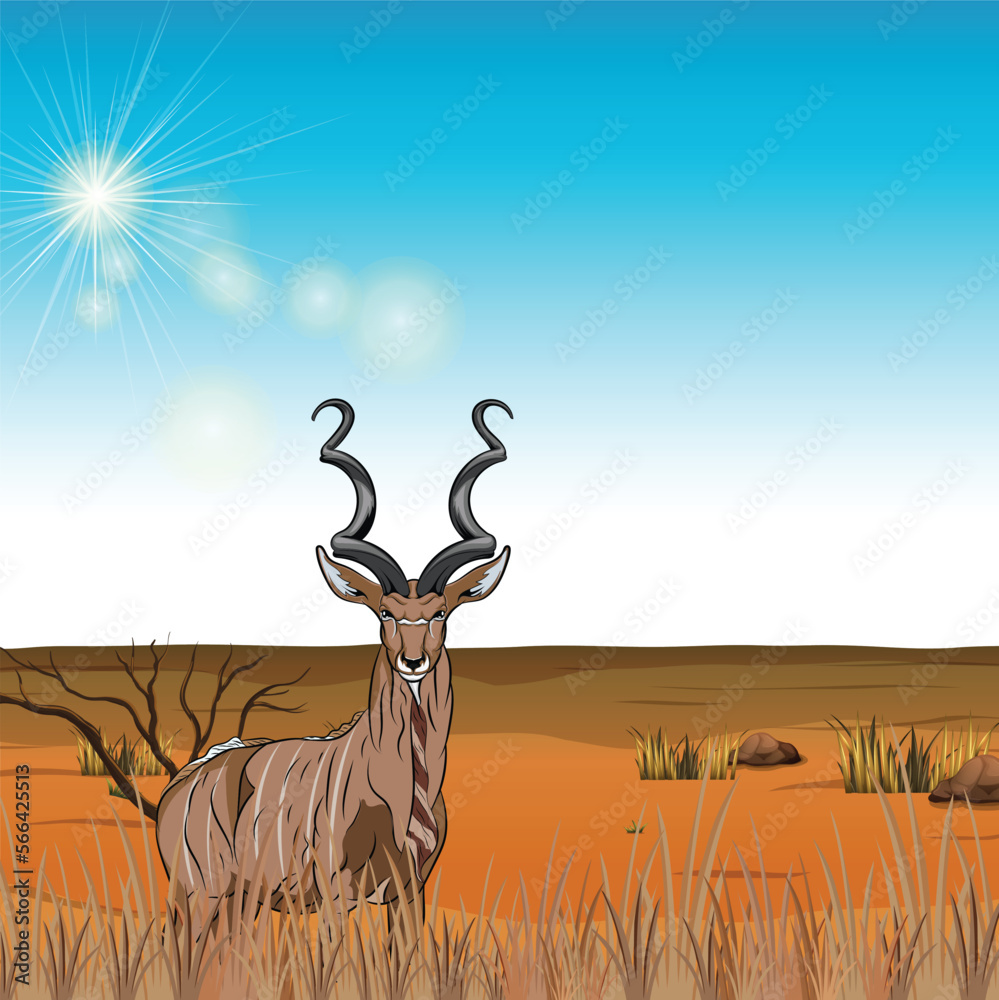 Kudu animal dry land drawing Banner Kudu illustration Kudu antelope
